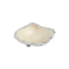 Julia Knight Tahitian Clam 5" Petite Bowl Snow Clearance