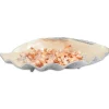Julia Knight Tahitian Clam Shell 25" Bowl Snow Clearance